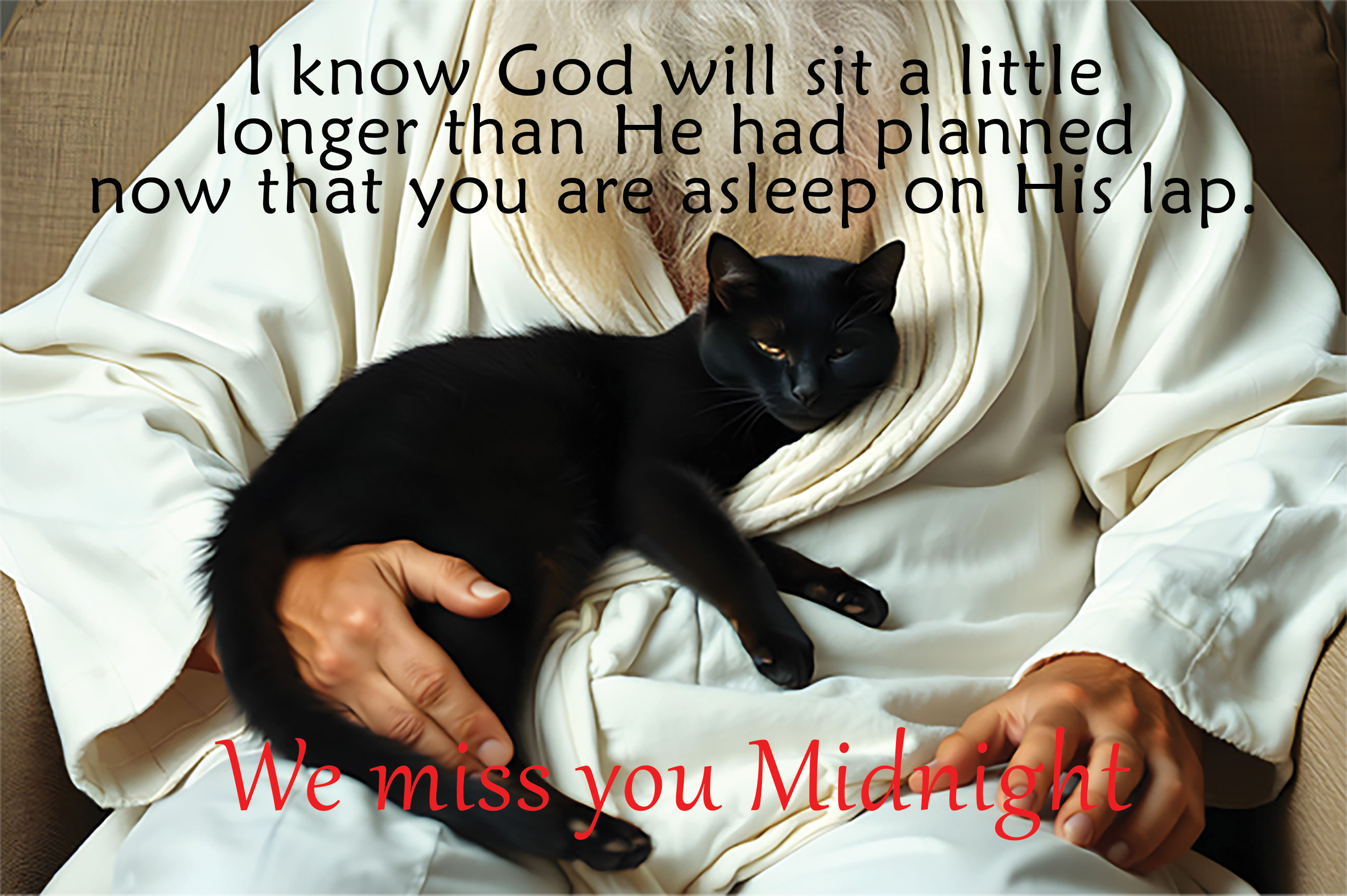 In God's Lap Black Cat Aluminum Print